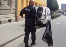 Po Kníničkách přijdou na řadu Maloměřice. Odchyt koček potrvá tři dny